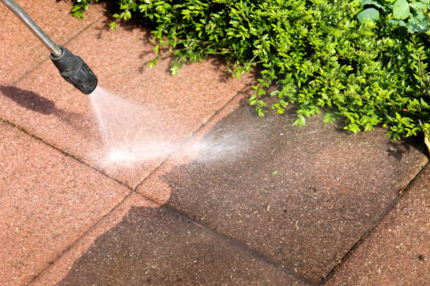 Best Roof Pressure Washing  in Kailua, HI