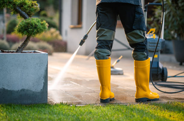 Best Exterior Home Cleaning  in Kailua, HI